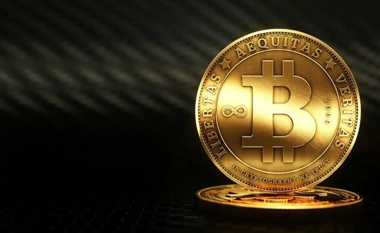 A mining farm powered by solar panels, showcasing a commitment to renewable energy