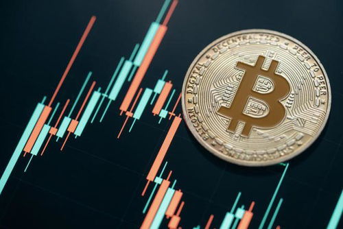 A Bitcoin mining farm with many ASIC miners
