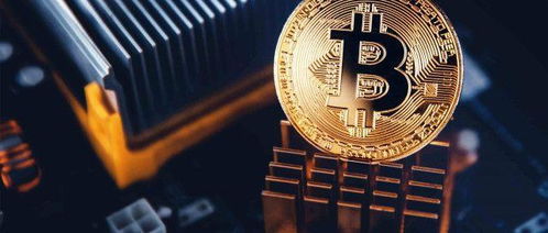 Bitcoin mining ASIC rig working in a high-efficiency hosted environment